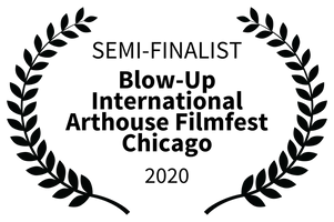 Home blow up international arthouse film festival chicago